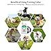 iThrough Shock Collar for Dogs, Dog Training Collar Remote, Rechargeable Small Dog Bark Collar with 1-5 Level Beep, Vibration Control and Shock LCD Display for Dogs, Electronic No Barking Collar