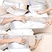Lofan Dual Ionic Ion Detox Foot Bath Spa Machine Chi Cleanse Foot Detoxification Machine System with Far Infrared Ray Belt Large LCD-110V for Two People Use