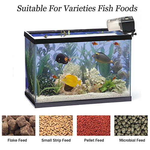 3 Automatic+Operated+Aquarium+Dispenser+Tropical
