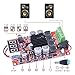 AUKUYEE Amplifier Board, 2 x 50, Red, (QY03)