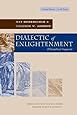 Dialectic of Enlightenment (Cultural Memory in the Present)