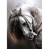 DIY 5D Diamond Painting Kits for Adults Full Drill Embroidery Paintings Rhinestone Pasted DIY Painting Cross Stitch Arts Crafts for Home Wall Decor 40x50cm/15.7x19.6Inches(Horse)