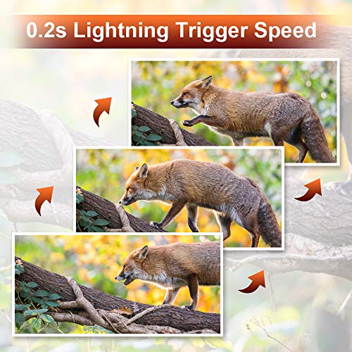 3 Crenova+Included+Waterproof+Activated+Observation
