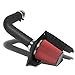 Ford F-150/Expedition Black Coated Aluminum Air Intake System