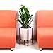 ASLINY Plant Stand Mid Century Wood Flower Pot Holder Display Potted Rack Rustic, up to 10 inches Planter Brown (Pot Not Included)