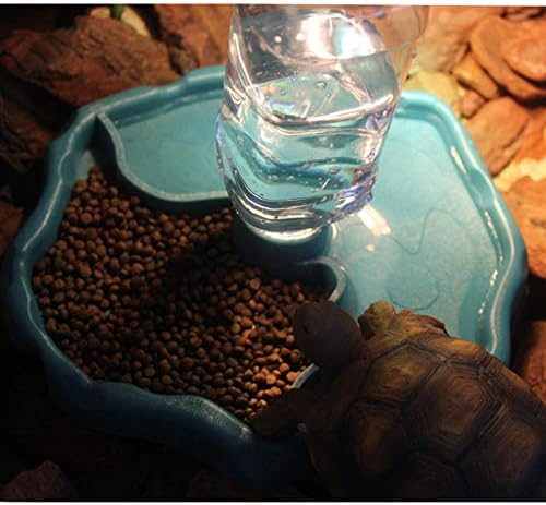 automatic tortoise feeder