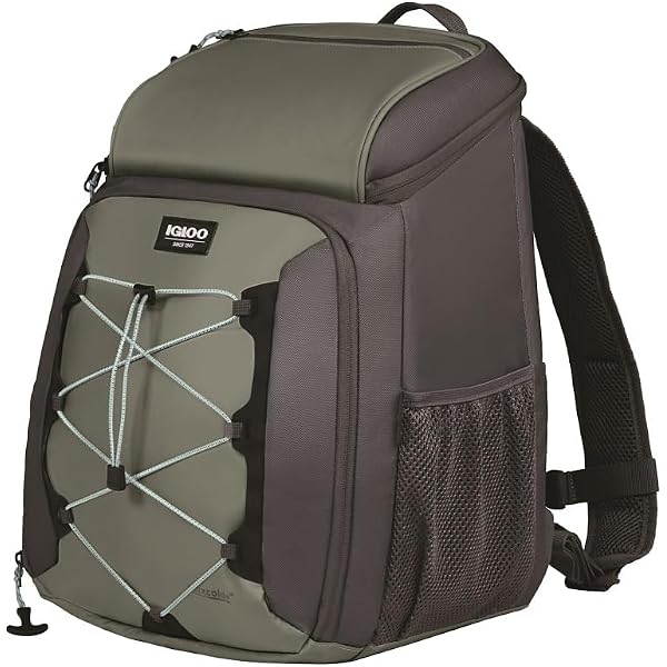 target igloo backpack