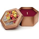 Root Candles Fall Scented Candles in Travel Tin 24-Hour Honeycomb Traveler Handcrafted Beeswax Blend Candle, 4-Ounce, Spiced Orchard