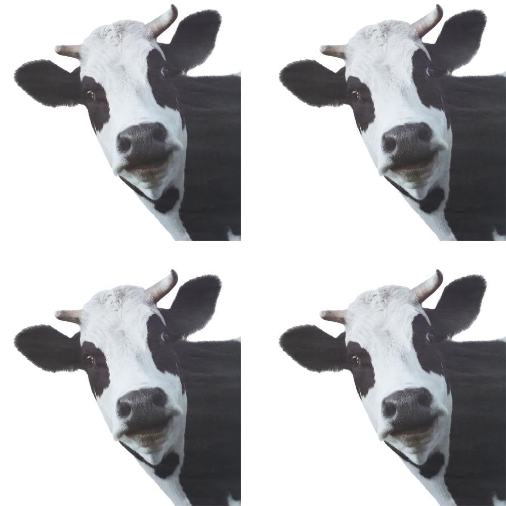 Upluckey Wall Decal Farm Animal Window Decals Kitchen Decor Cow Print Stickers Car Sticker
