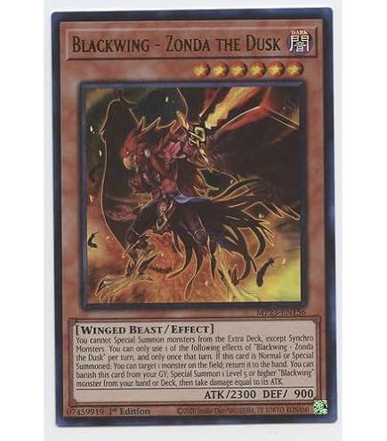 Amazon.com: Complete Custom Deck for Yu-Gi-Oh! 5D's