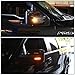 Auto Dynasty Compatible with Ford F-150 Smoke Lens Towing Side Mirror Turn Signal Light (Amber LED)