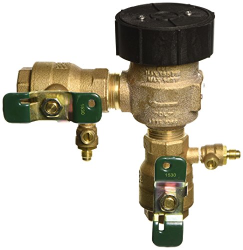 Watts 0388015 Freeze Resistant Pressure Vacuum Breaker, 1"
