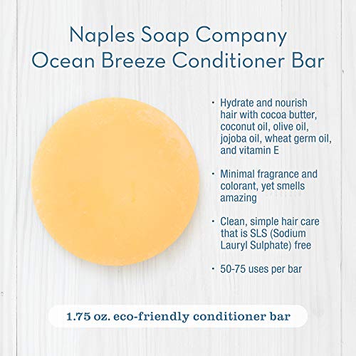Naples Soap Company Handmade Shampoo Bar + Hair Conditioner Bar Boxed