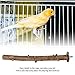 Bird Perch Birdcage Stand Wooden Paw Grinding Toy Pet Parrot Chew Hanging Cage Toy(335cm)thumb 2