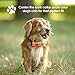 Trust the Paw - Bark Collar for 15-115 lbs Dogs - NO Shock - Humane Anti Bark Collar with Adjustable Sensitivity - Sound and Vibration - for Small Medium Large Breeds