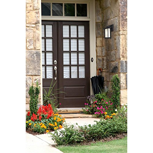 Westinghouse 6203800 Clarissa 1 Light Outdoor Wall Lantern, Textured Black