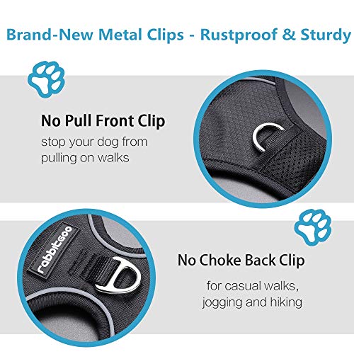 rabbitgoo NoPull Dog Harness Leash Set Heavy Duty Halter Harness with Leash for Large Dogs