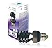 Triangle Bulbs 13 Watt Spiral Energy Saving CFL Light Bulb Medium Base Ultra Violet UV Blacklight Blue,