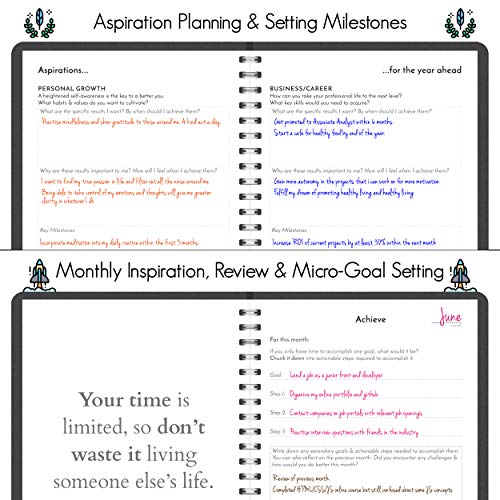 STYLIO Apex Planner 2019-2020. Undated Weekly, Monthly Calendar Personal Agenda Organizer for Business/Academic/School Life. Daily Goals Productivity Journal Notebook for Teachers & College Students