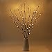 BLOOMWIN 3 Pack Branch Lights 30'' 60 LED Lighted Branches Battery Operated Artificial Branch Lamp for Home Bouquet Vase Decorative Twig Light Christmas Home Decoration (Vase Excluded)