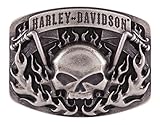 Harley-Davidson Men's Skull Bars & Flames Belt Buckle, Antique Nickel HDMBU11406