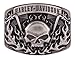 Harley-Davidson Men's Skull Bars & Flames Belt Buckle, Antique Nickel HDMBU11406