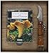 Le coffret Larousse des champignons (Hors collection Pratique) by 