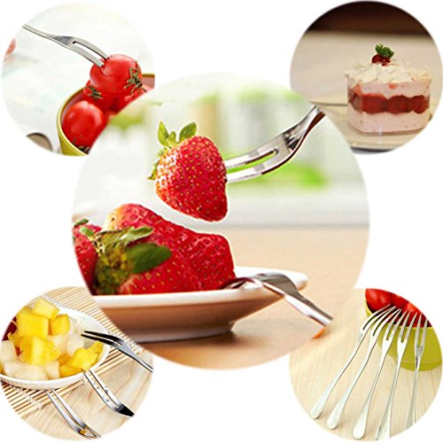 Fruit Forks With Case, LeBeila 8 PCS Appetizer Dessert Forks Mini Stainless Steel Salad Fruit Cocktail Tasting Forks Small Set For Home, Wedding & Party Favor (Stainless Steel, 8PCS)