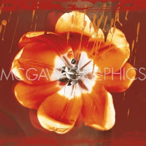 Tulip Fresco (red) Art Print Art Poster Print by Erin Clark, 16x16