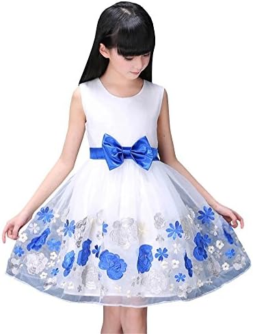Flower Girl Embroidery Cute Princess Tutu Tulle Bow Tie Party Prom Dress, White, 6-7 Years