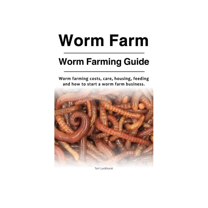 Buy Worm Farm. Worm Farm Guide. Worm farm costs, care, housing, feeding