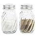 Kangaroo's Glass Swirl Salt & Pepper Shakers With Lids, 3¼ oz. (Set of 2) Salt Shaker Set