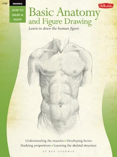 Download Beginner's Guide: Basic Anatomy & Figure Drawing PDF