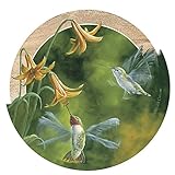 Thirstystone Drink Coaster Set, Ruby-Throated Hummingbirds
