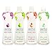 Zenful (Variety Pack) - Mineral Infused, Flavored Water with Powerful Antioxidants! Electrolytes & 70+ Trace Minerals that absorb & hydrate Faster & Better than plain water! (12, 20oz Bottles)