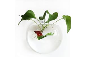 Noodoky Betta Fish Tank Bowl 9in, Wall Mounted Beta Fish Small Aquarium, Hanging Plastic Wall Decor for Plant Fish Ecosphere (0.5 Gallon)