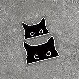 IRONSKY Funny Black cat Stickers,cat Decal,car Decal, Funny Window Trunk Bumper Decal, Window Sticker, Suitable for Cars, Tru
