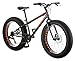 Mongoose Logan Boy's Fat Tire Bicycle, Grey, 24
