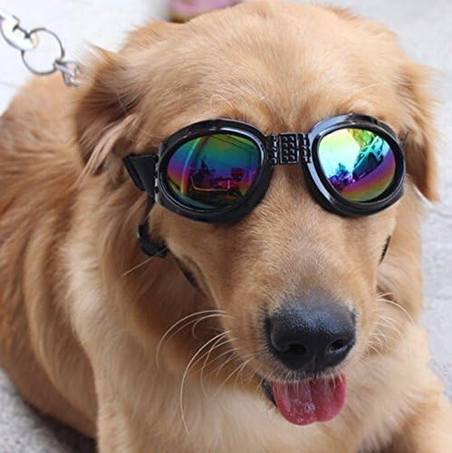 Awon AW168264 Pet Glasses Dog Sunglasses Dog Glasses Golden Retriever Samoyed Sunglasses Goggles Middle &amp; Big Dog Sunglasses Pet Supplies (Black)