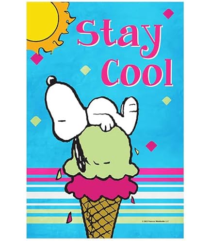 Amazon.com : Flagology.com, PEANUTS®, PEANUTS® Double Scoop