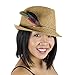 Zucker - Hat Feather Trims - Roaring 20s Flapper Style Feather Pick - Costume - Cosplay - Millinery - Floral Arrangements - Pheasant/Hackle/Guinea - Champagne/Mint/Natural