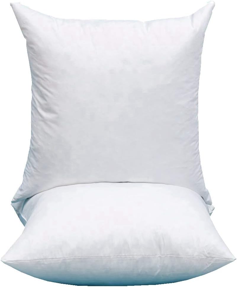 20 inch square pillow insert