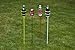 Decko Products 30251 Heavy Duty Outdoor Beverage/Drink Holder Stakes, 4-Count, Multiple Colors