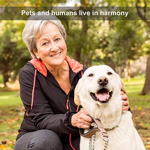 Newday 50 Pieces DoubleHeaded Dog Cat Pet Toothbrush , Super Soft Bristles Oral Care Teeth