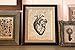 Vintage Anatomy Illustration Art, Dictionary Print, Antique Wall Art Home Decor, Modern Boho, Medical Posters, Farmhouse Decoration 8x10 Inches, Ready To Frame (Heart)