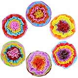 Supla 6 Pcs Fiesta Tissue Paper Flowers Pom Poms Ball Tissue Paper Pom Poms Flowers 15.4