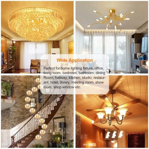 10 Pack G4 LED Bulb 3 Color Changing to Warm White | Natural White | Daylight, 5W Equivalent to 50W Halogen Bulb, Uses For Chandelier, Under Cabinet, Lamp, Track & Accent, Microwave, Step Path