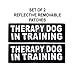 Doggie Stylz Set of 2 Reflective Therapy Dog in Training Reflective Removable Patches with Hook Backing for Working Dog Harnesses & Vests. 3 Sizes Small, Medium and Large (Small 3