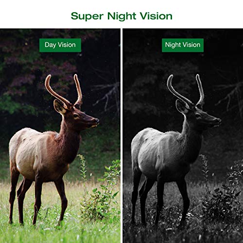 3 TOGUARD+Waterproof+Wildlife+Monitoring+Observation