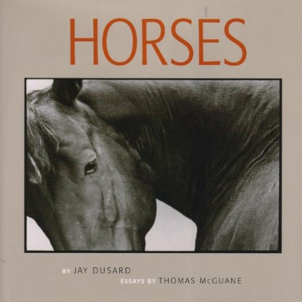 Amazon.com: Horses: 9781579652746: Arthus-Bertrand, Yann, Gouraud